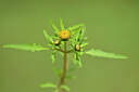 BUITEN BEELD Foto: 439899