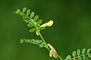 BUITEN BEELD Foto: 439903