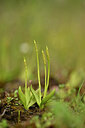 BUITEN BEELD Foto: 439906