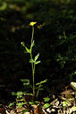 BUITEN BEELD Foto: 439908