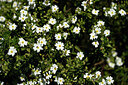 BUITEN BEELD Foto: 439913