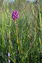 BUITEN BEELD Foto: 439914