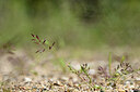 BUITEN BEELD Foto: 439915
