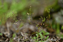 BUITEN BEELD Foto: 439919