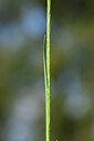 BUITEN BEELD Foto: 439921
