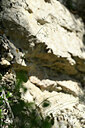BUITEN BEELD Foto: 439924