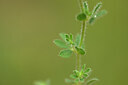 BUITEN BEELD Foto: 439928