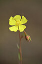 BUITEN BEELD Foto: 439935