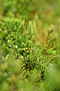 BUITEN BEELD Foto: 439936