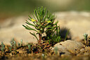 BUITEN BEELD Foto: 439937