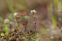 BUITEN BEELD Foto: 439941