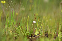 BUITEN BEELD Foto: 439943