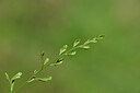 BUITEN BEELD Foto: 439946