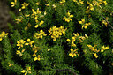 BUITEN BEELD Foto: 439947