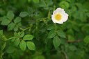 BUITEN BEELD Foto: 439949