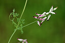 BUITEN BEELD Foto: 439952