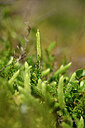 BUITEN BEELD Foto: 439955