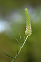 BUITEN BEELD Foto: 439956