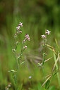 BUITEN BEELD Foto: 439971