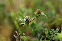 BUITEN BEELD Foto: 439981