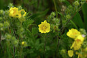 BUITEN BEELD Foto: 439986