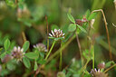 BUITEN BEELD Foto: 439987