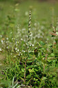 BUITEN BEELD Foto: 439994