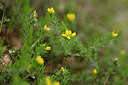 BUITEN BEELD Foto: 439996