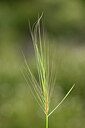 BUITEN BEELD Foto: 440000