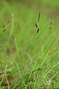 BUITEN BEELD Foto: 440002