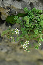 BUITEN BEELD Foto: 440003