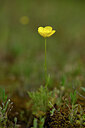 BUITEN BEELD Foto: 440005