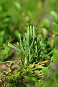 BUITEN BEELD Foto: 440008