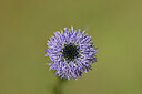 BUITEN BEELD Foto: 440010