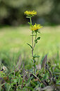 BUITEN BEELD Foto: 440011