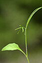 BUITEN BEELD Foto: 440014