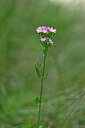 BUITEN BEELD Foto: 440017