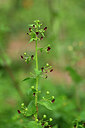 BUITEN BEELD Foto: 440018