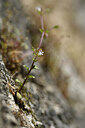 BUITEN BEELD Foto: 440022