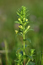 BUITEN BEELD Foto: 440023