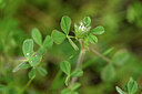 BUITEN BEELD Foto: 440024