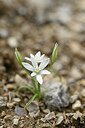 BUITEN BEELD Foto: 440027