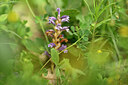 BUITEN BEELD Foto: 440028