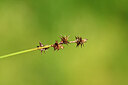 BUITEN BEELD Foto: 440029