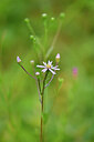 BUITEN BEELD Foto: 440030