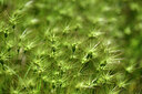 BUITEN BEELD Foto: 440032