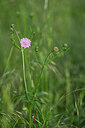 BUITEN BEELD Foto: 440034