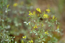 BUITEN BEELD Foto: 440035
