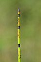 BUITEN BEELD Foto: 440037