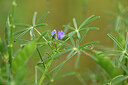 BUITEN BEELD Foto: 440041